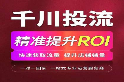 SEM公司案例研究：数据驱动营销策略